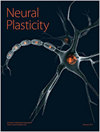 Neural Plasticity期刊封面